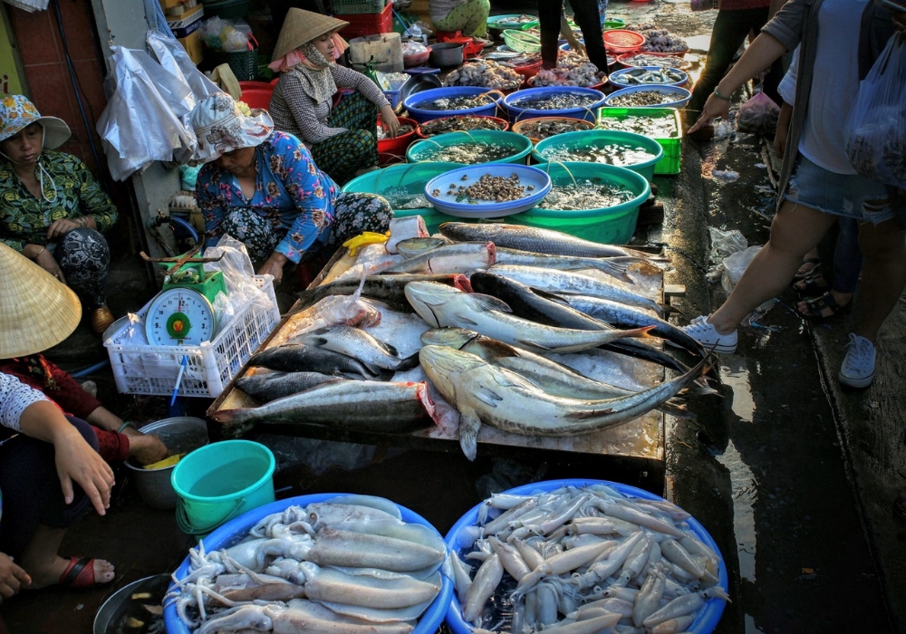đi vũng tàu mùa nào đẹp nhất