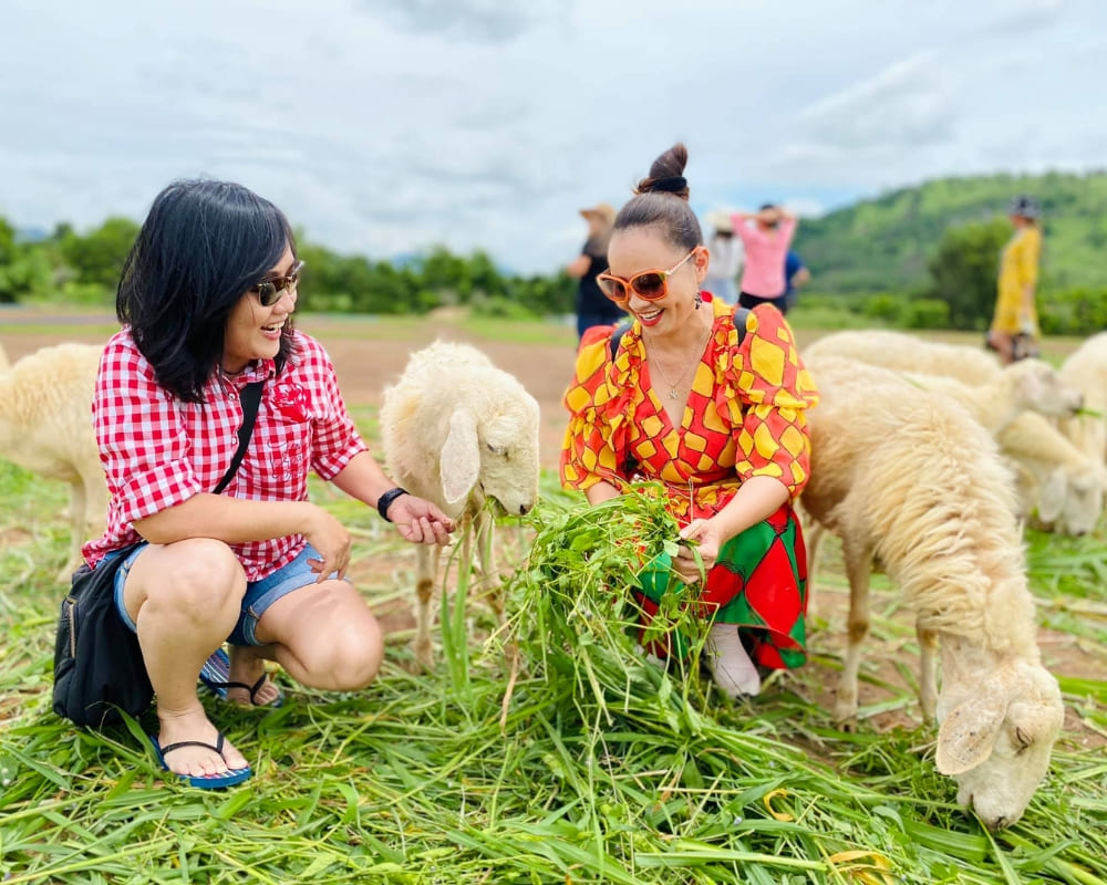 đồi cừu vũng tàu