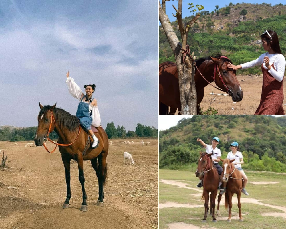 đồi cừu vũng tàu